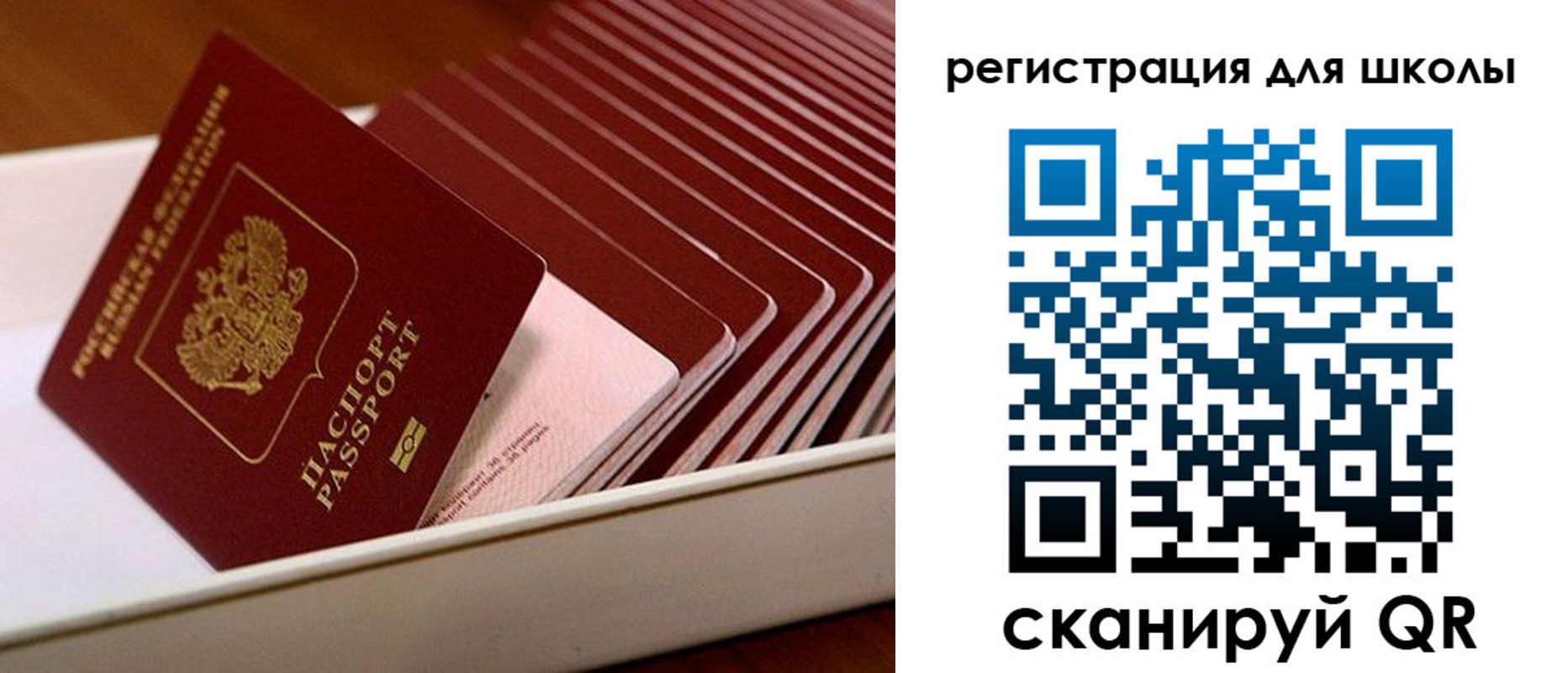 прописка гарантия в Кукморе
